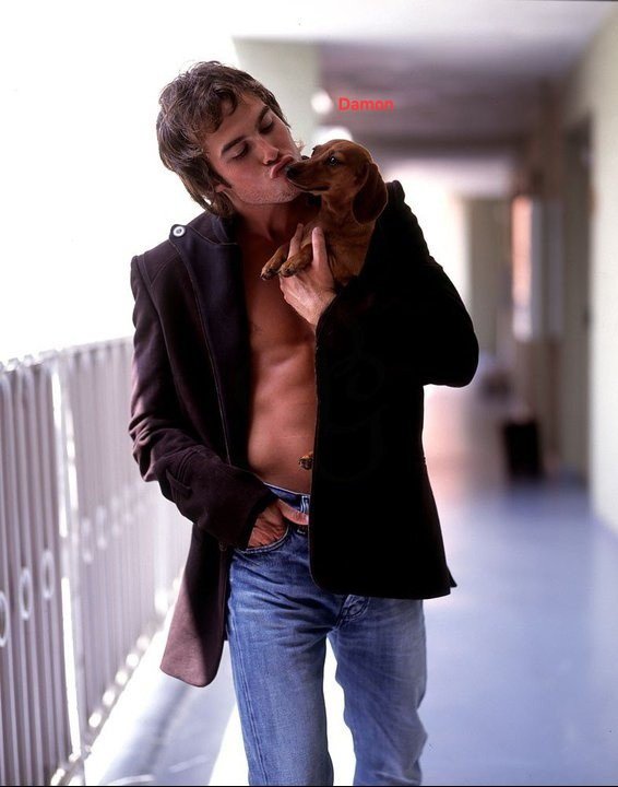 ᴰᵃᵐⁱᵃⁿᵒ ᶠʳᵃⁿᶜᵉˢᶜᵒ ˢᵃˡᵛᵃᵗᵒʳᵉ tweet media