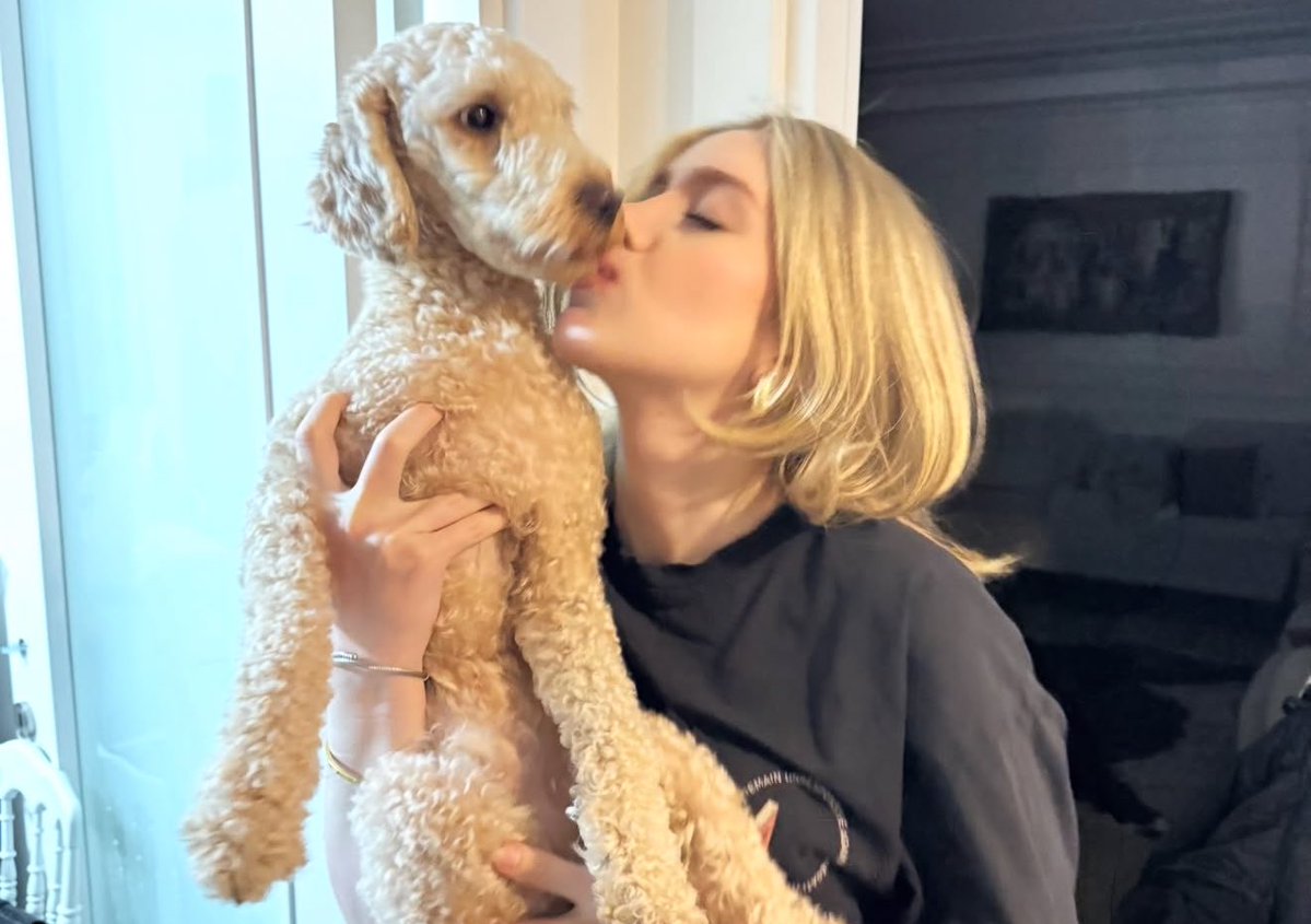 mocha_cavdar tweet media