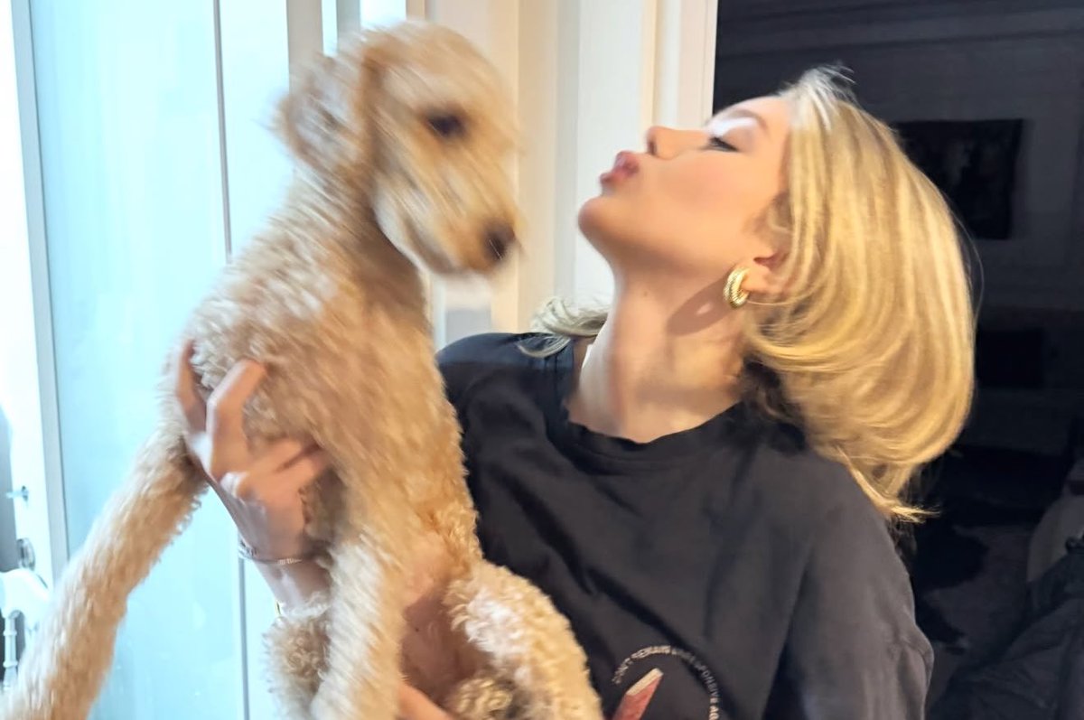 mocha_cavdar tweet media