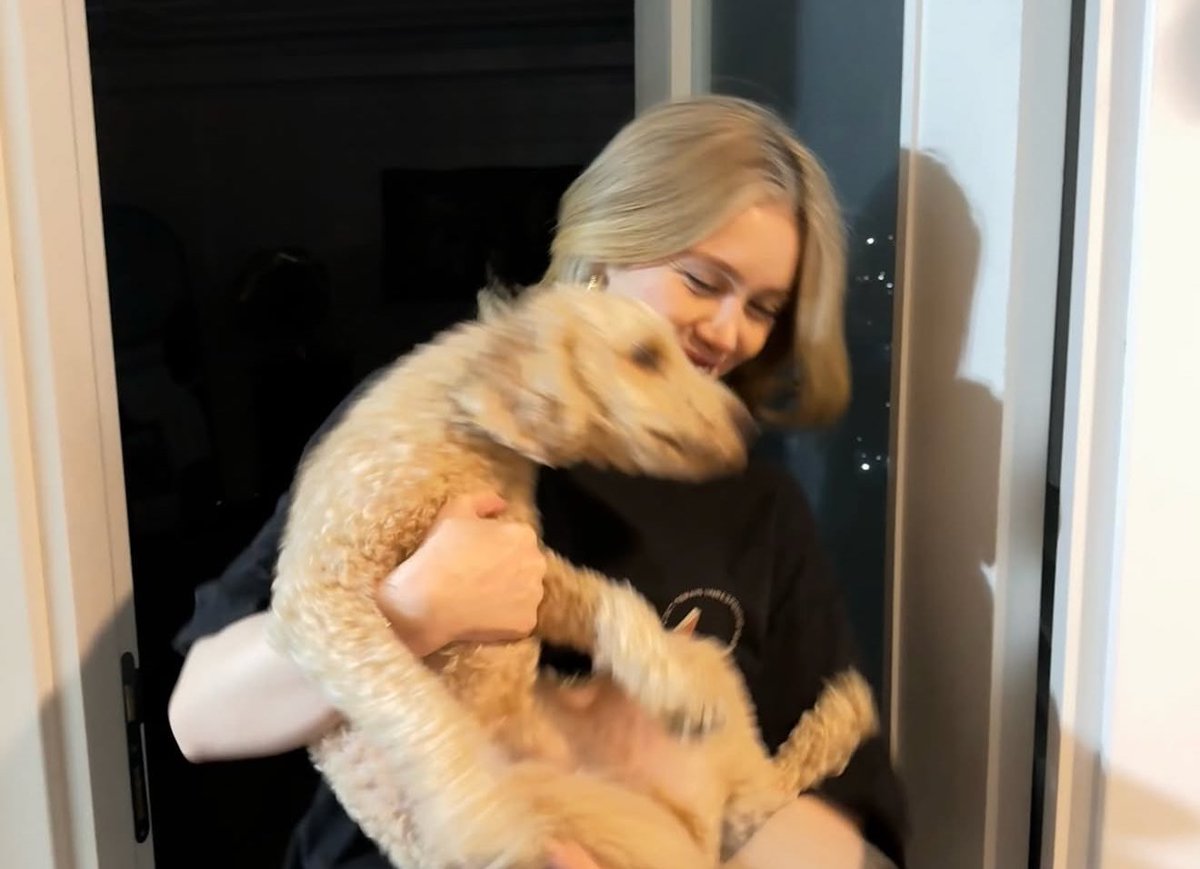 mocha_cavdar tweet media