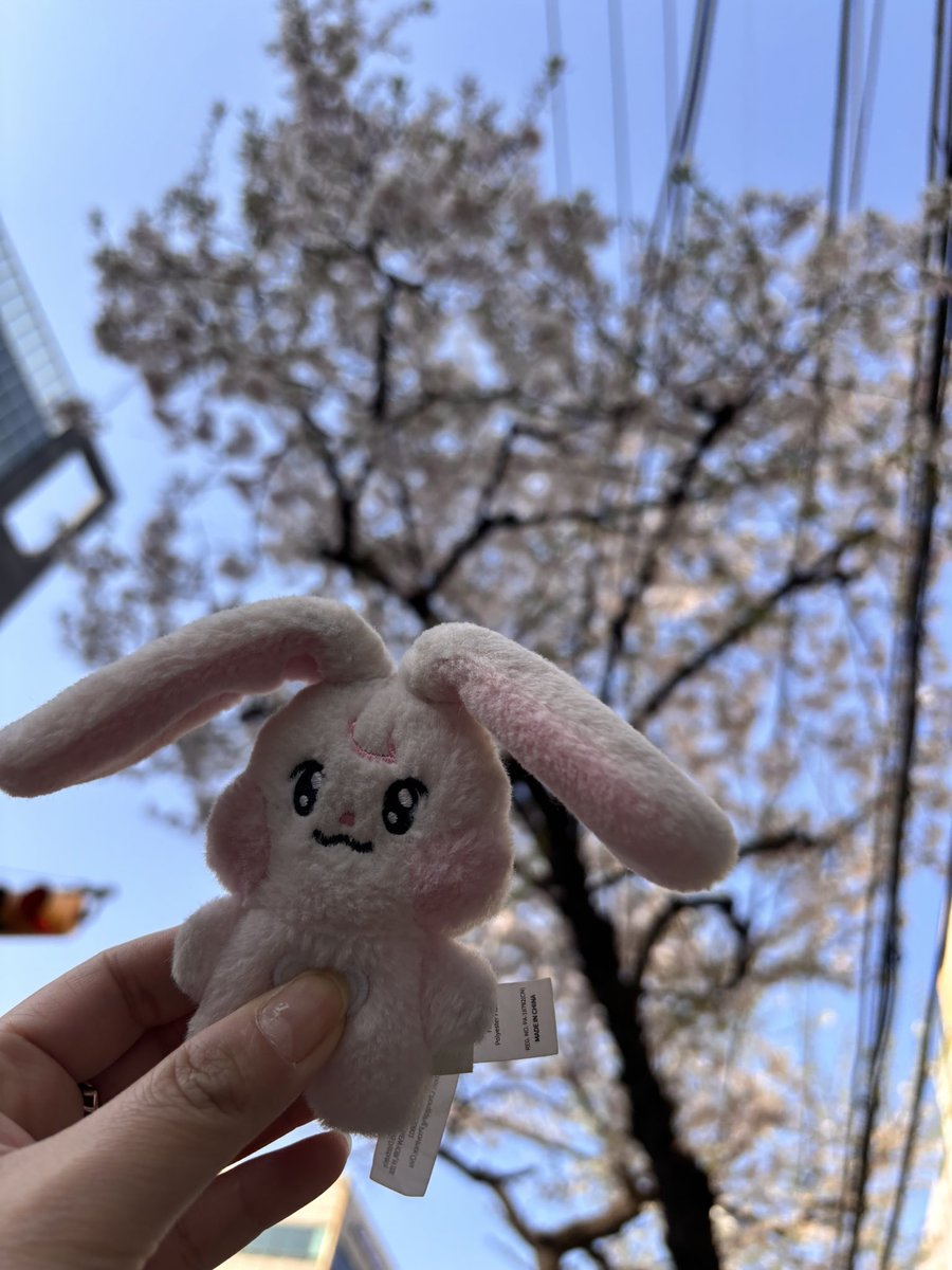 쨈잉⁶⁵ tweet media