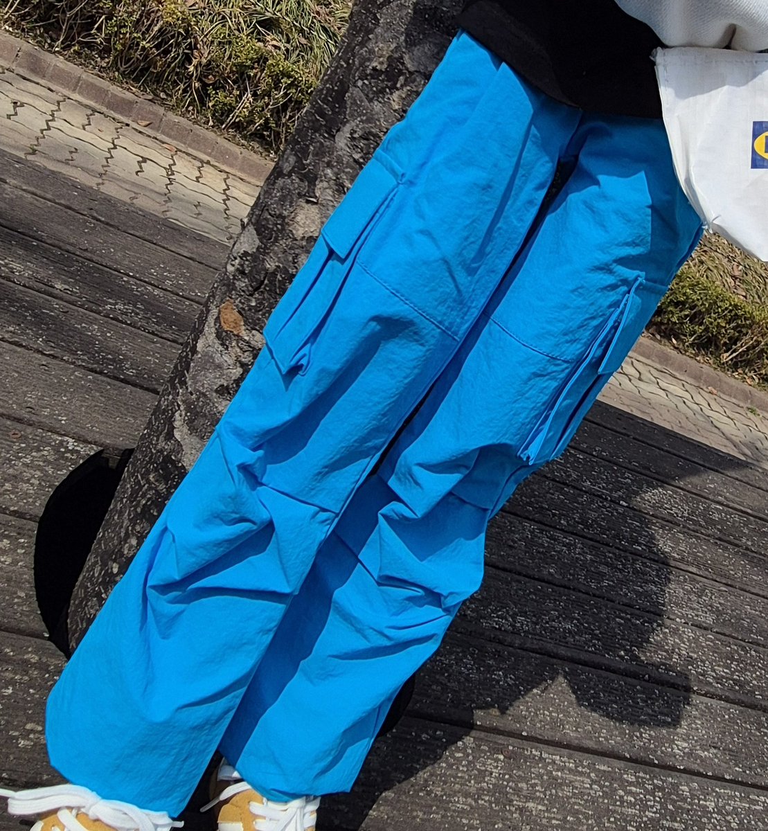 씨앗:B tweet media