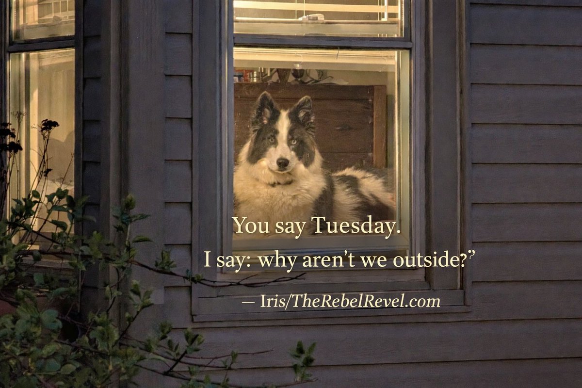 Michelle Tennant, MA tweet media