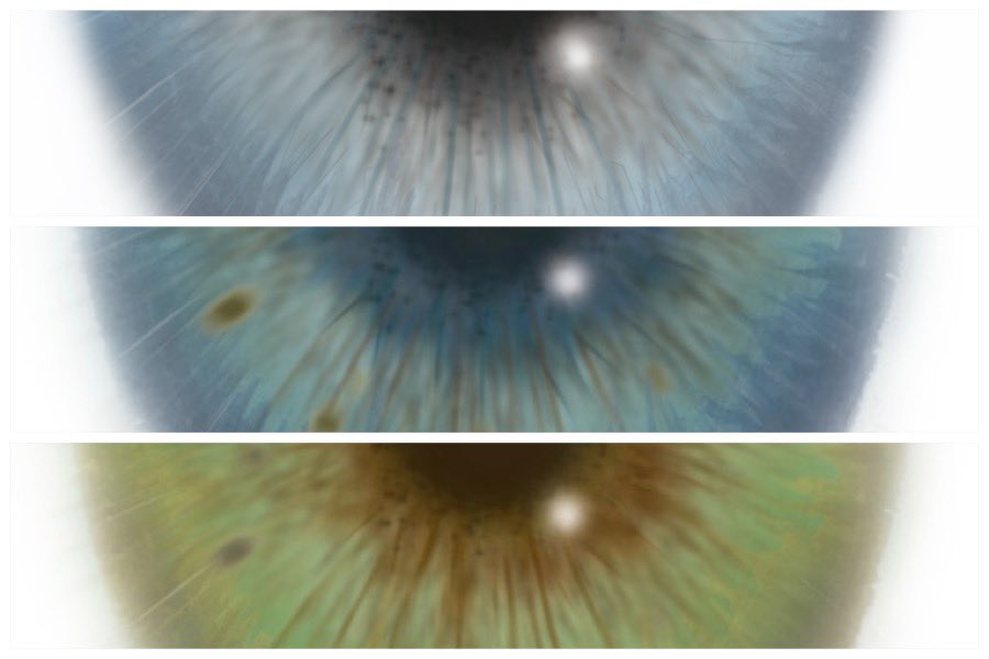 cece まめ tweet media