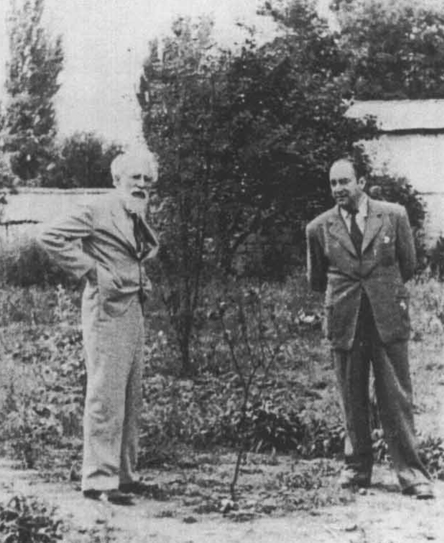 Historia de Chile tweet media