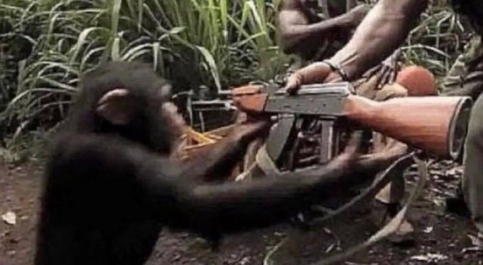 CodeBucks⚡ tweet media
