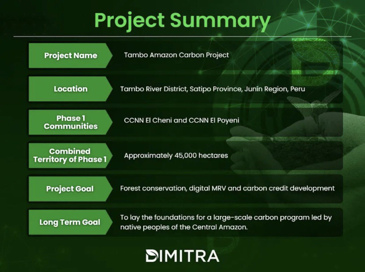 Web3 Princess 👑 tweet media