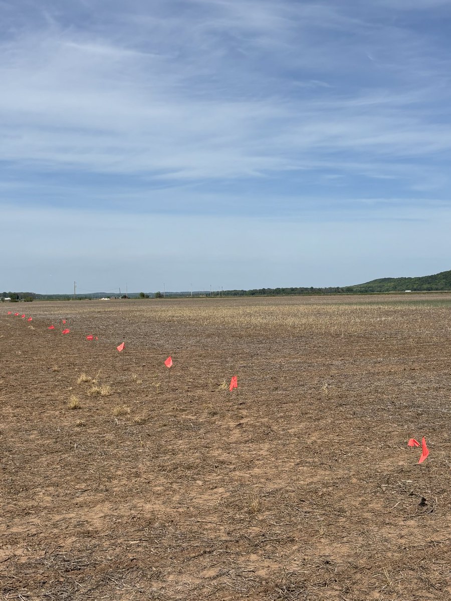 Kevin Lawson tweet media