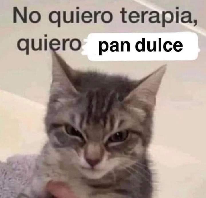 K06 El Alternativo 🤖⏰/🍮🌻/🦌✨/🦦🍦 tweet media