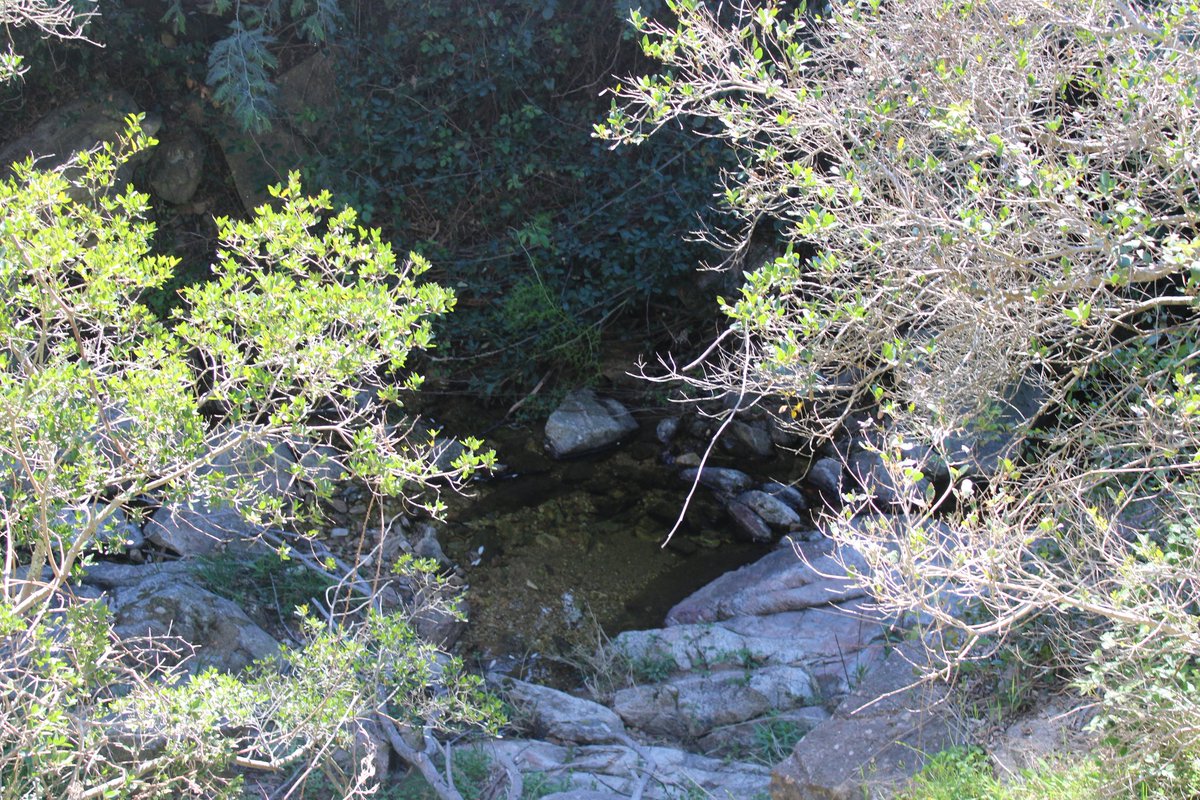 Oni-Link 📸 tweet media