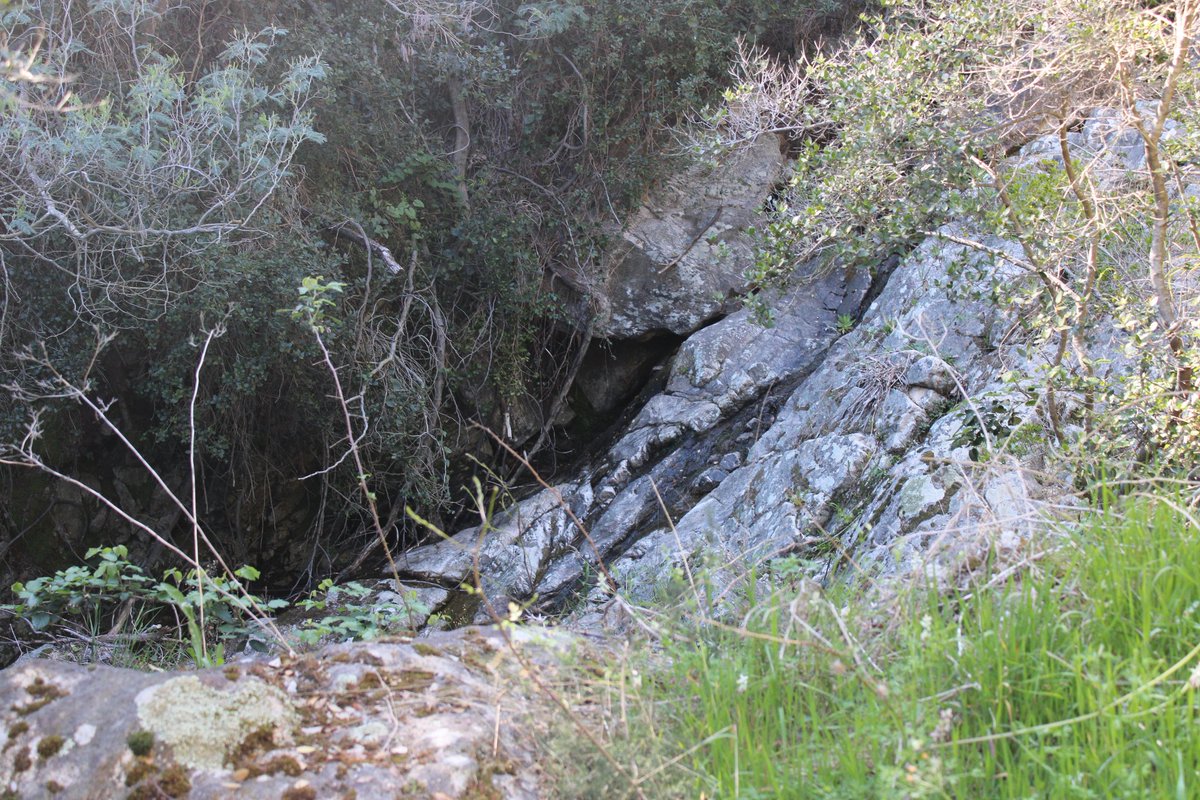 Oni-Link 📸 tweet media