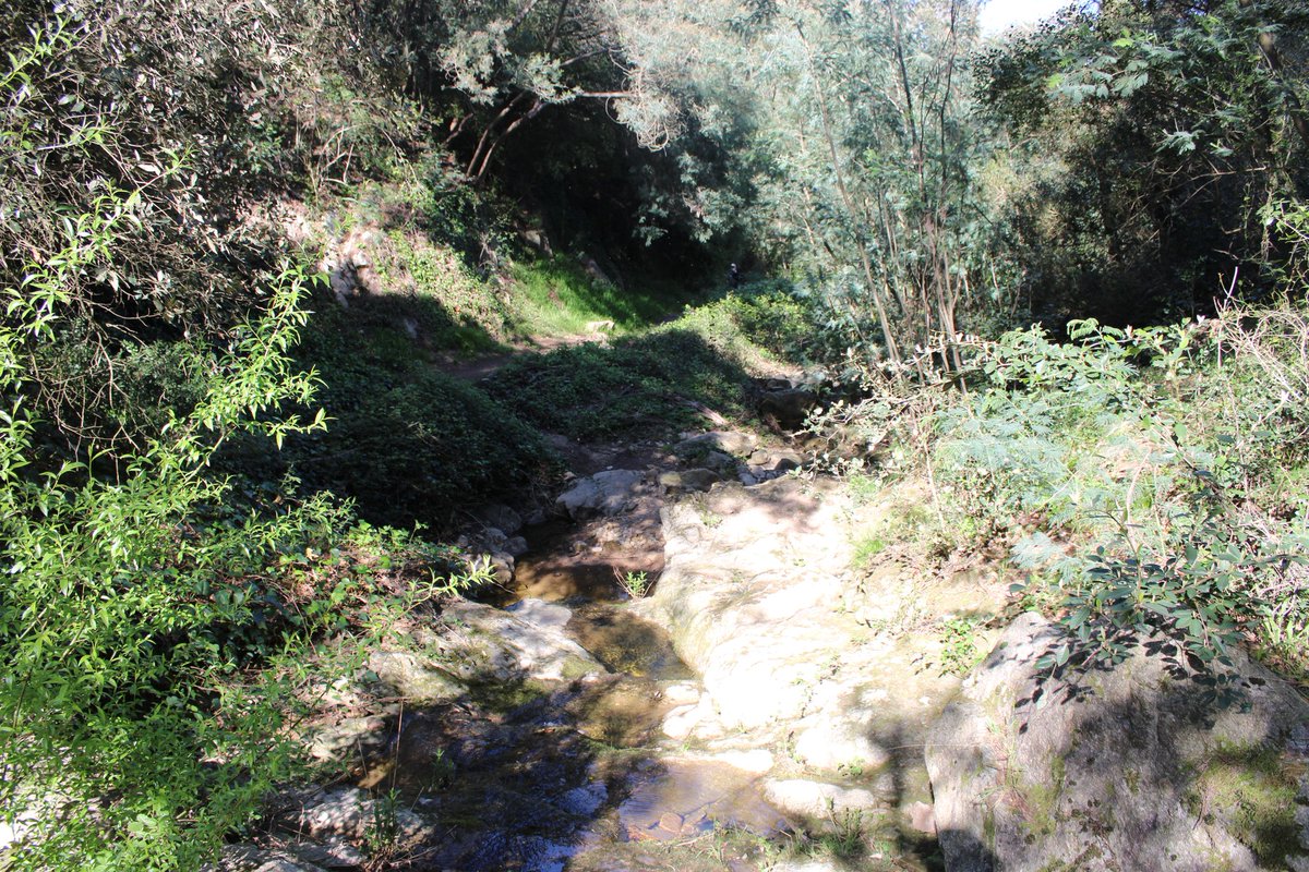 Oni-Link 📸 tweet media