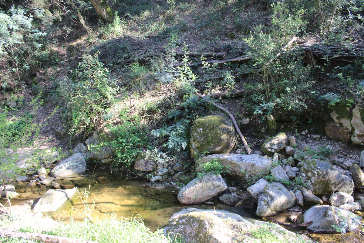 Oni-Link 📸 tweet media