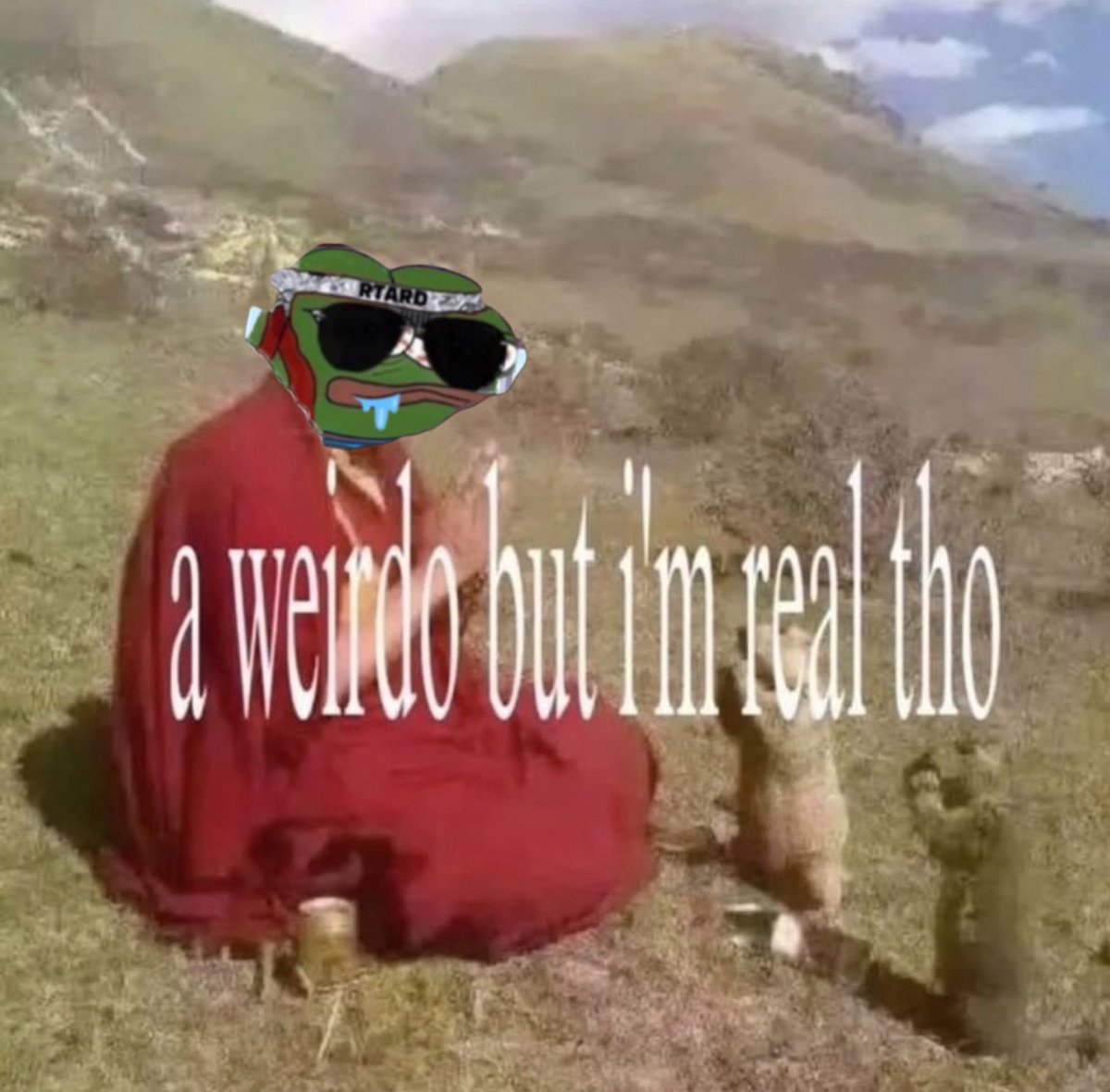 Doinks the Retard Frog tweet media