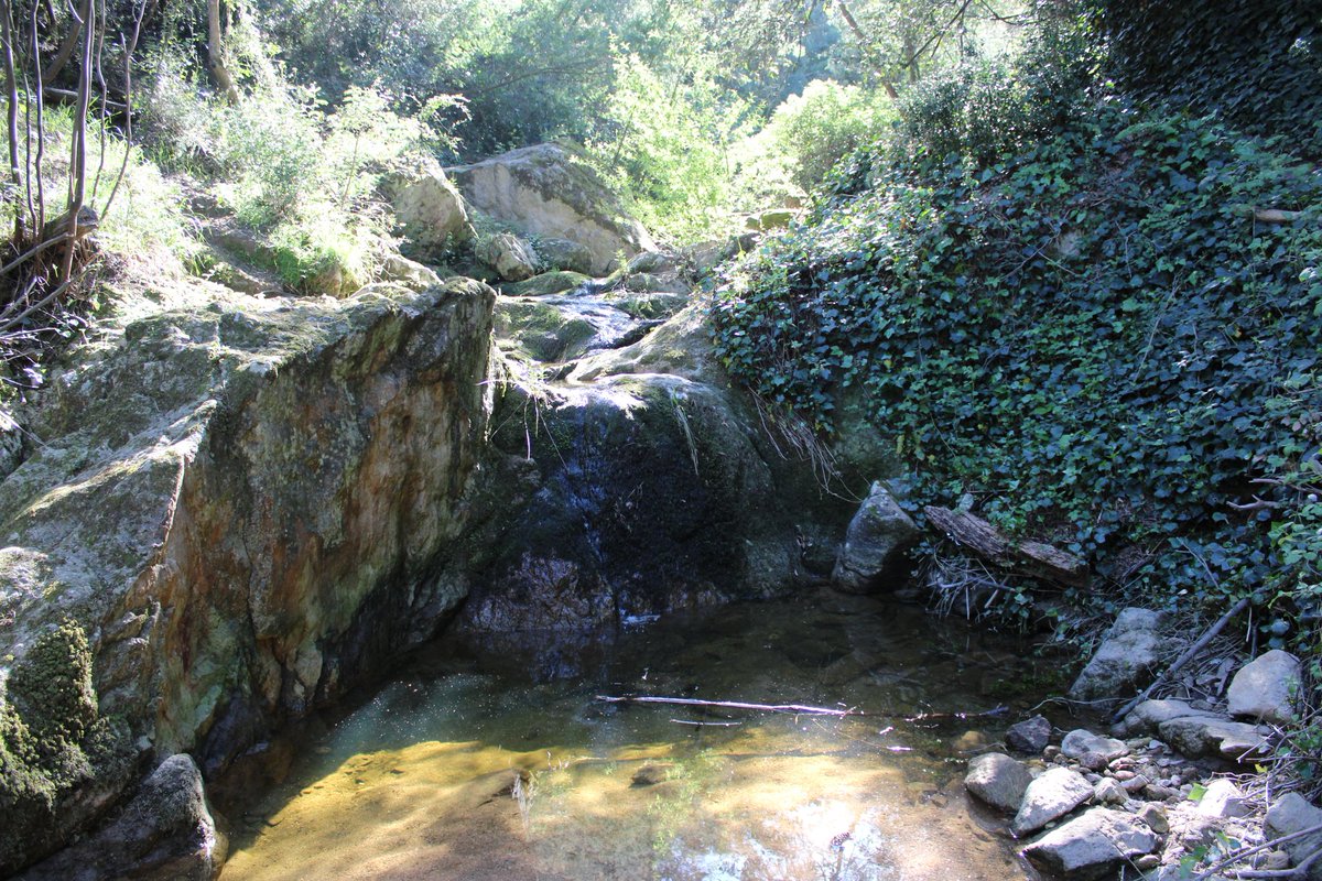 Oni-Link 📸 tweet media