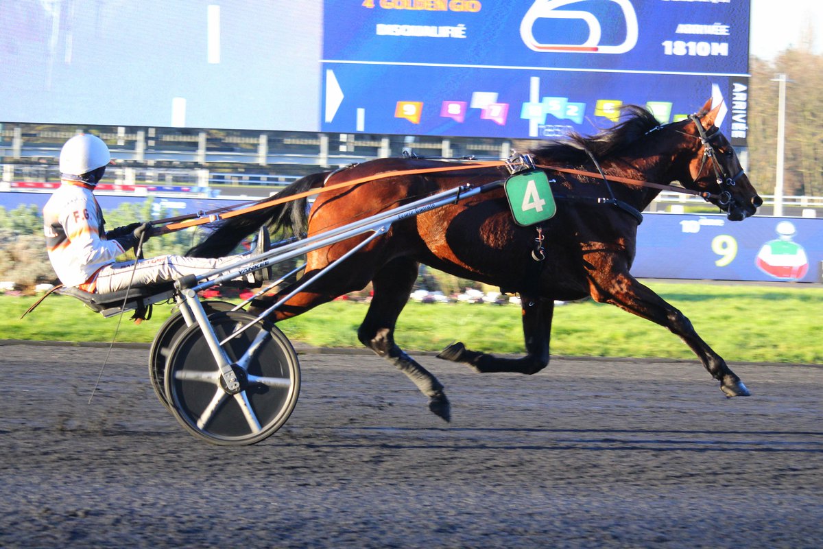 mondor44 tweet media