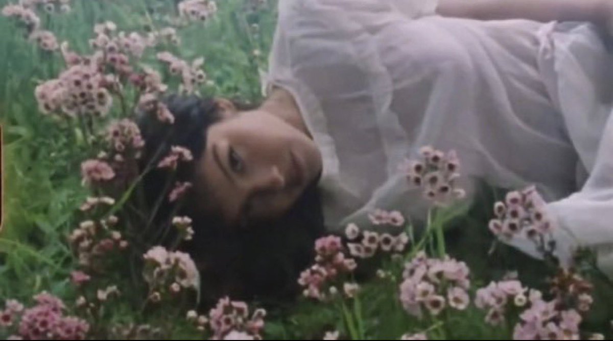 percy jackson tweet media