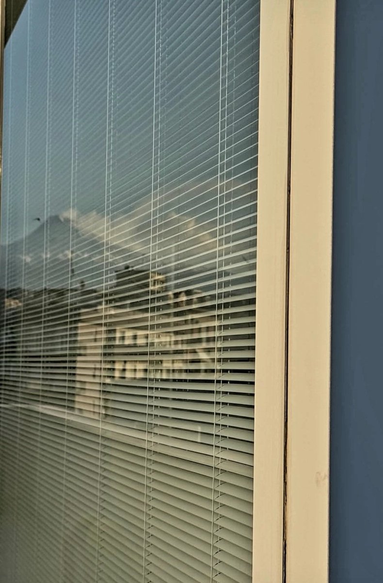 😺😽Maria😽😸 マリア tweet media