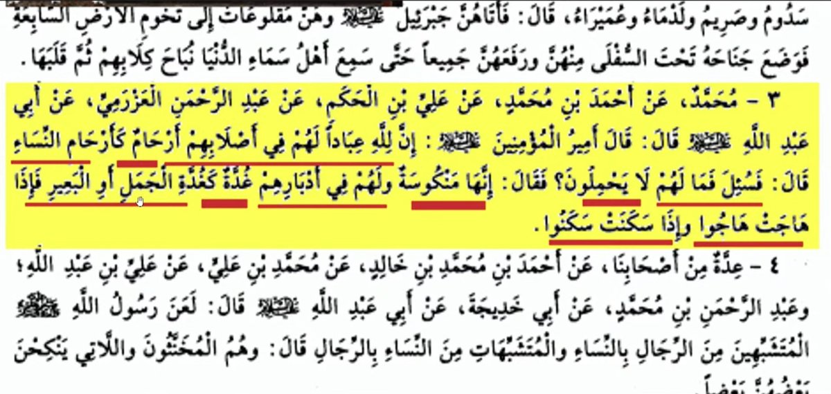 sed4333 tweet media