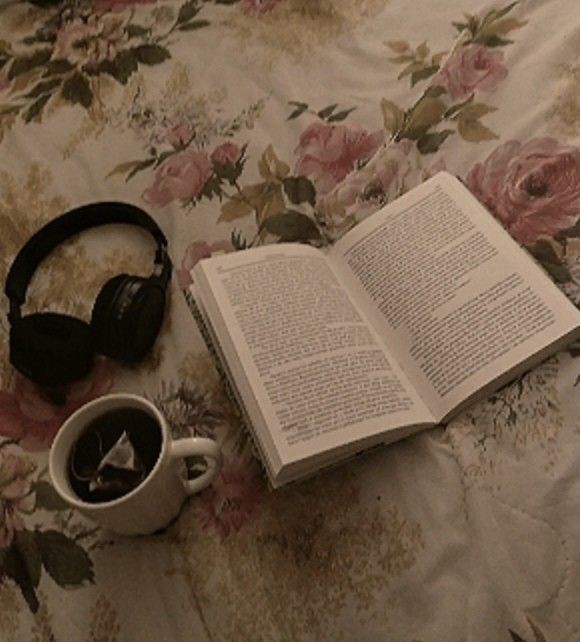 shelves squad 📖 tweet media