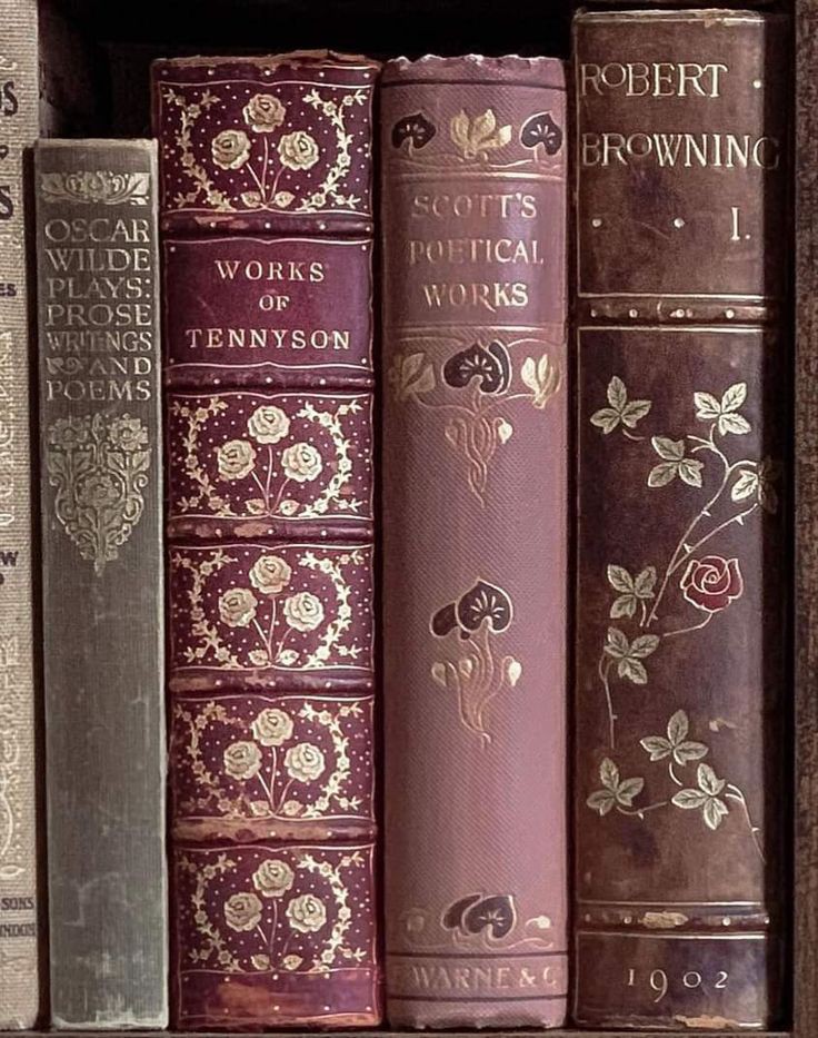 shelves squad 📖 tweet media