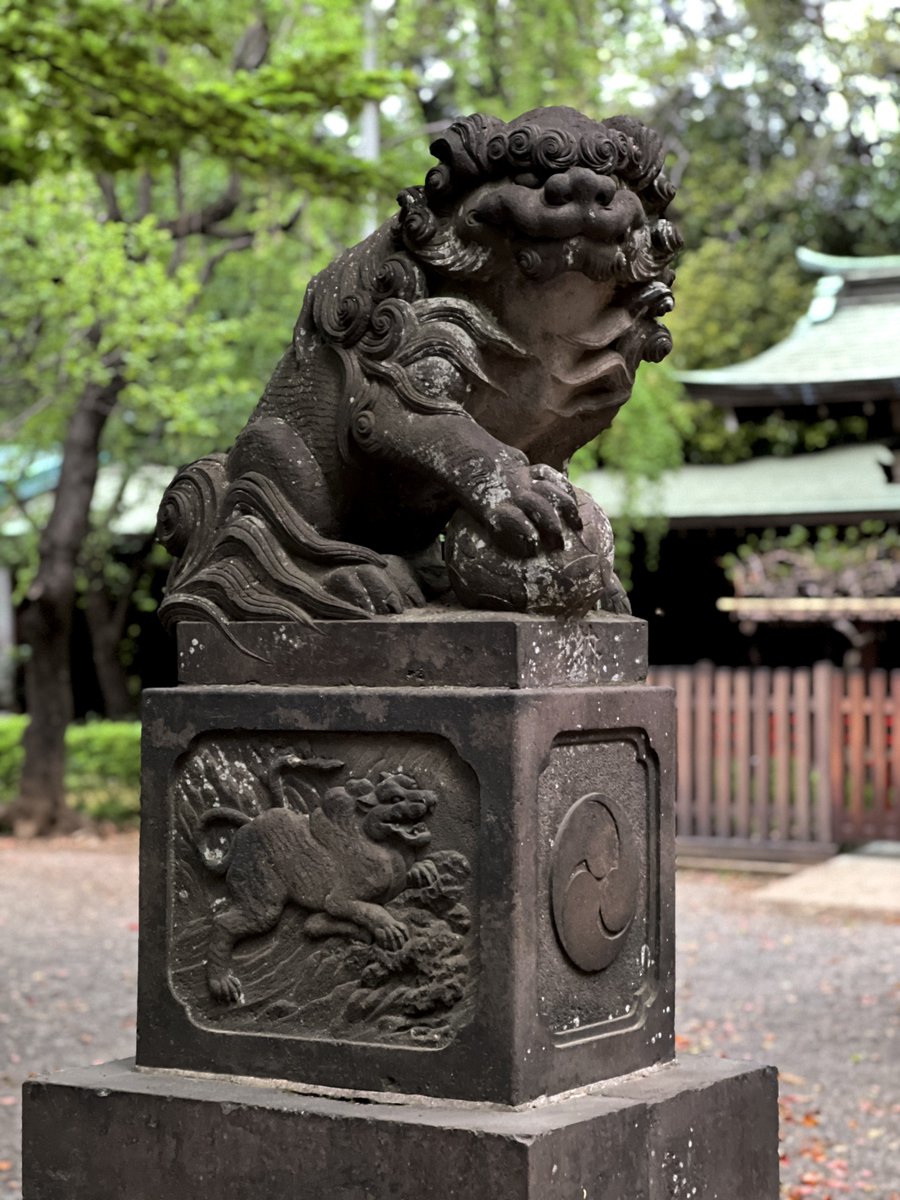 鬼志多🪷🐦⬛ tweet media