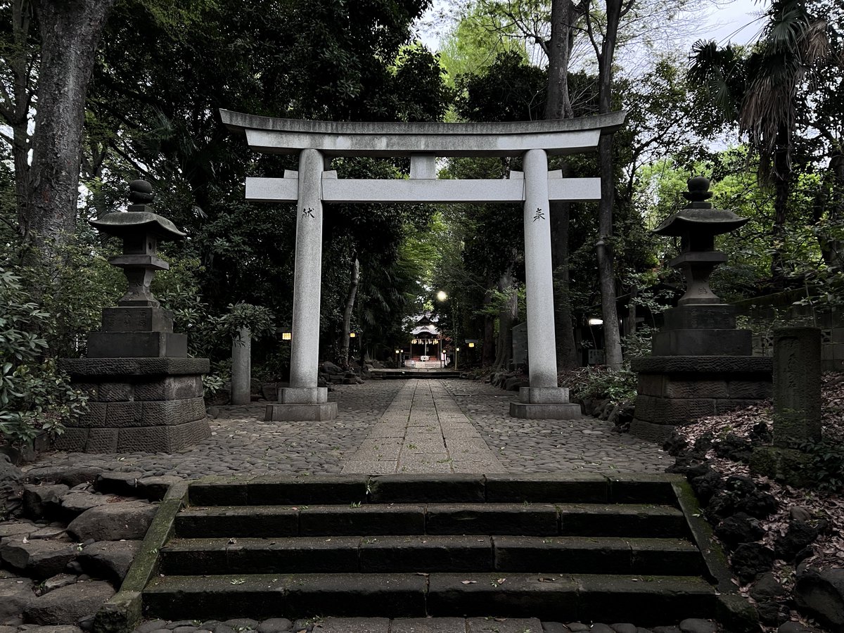 鬼志多🪷🐦⬛ tweet media