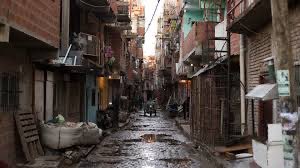 Nasalis Polentero tweet media