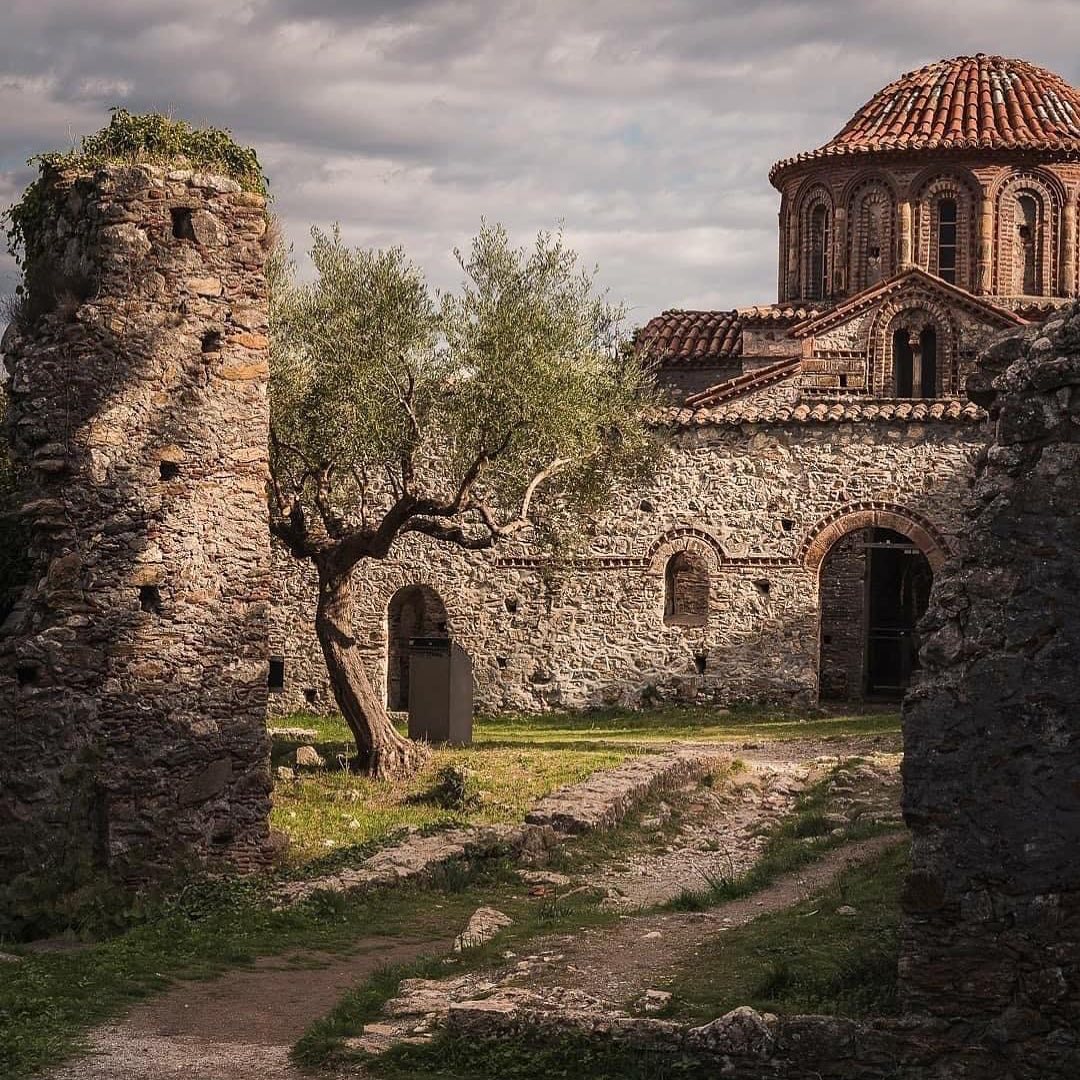 Δημήτρης Ρόδης tweet media