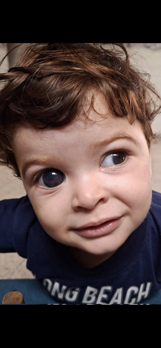 Malak Shabet tweet media