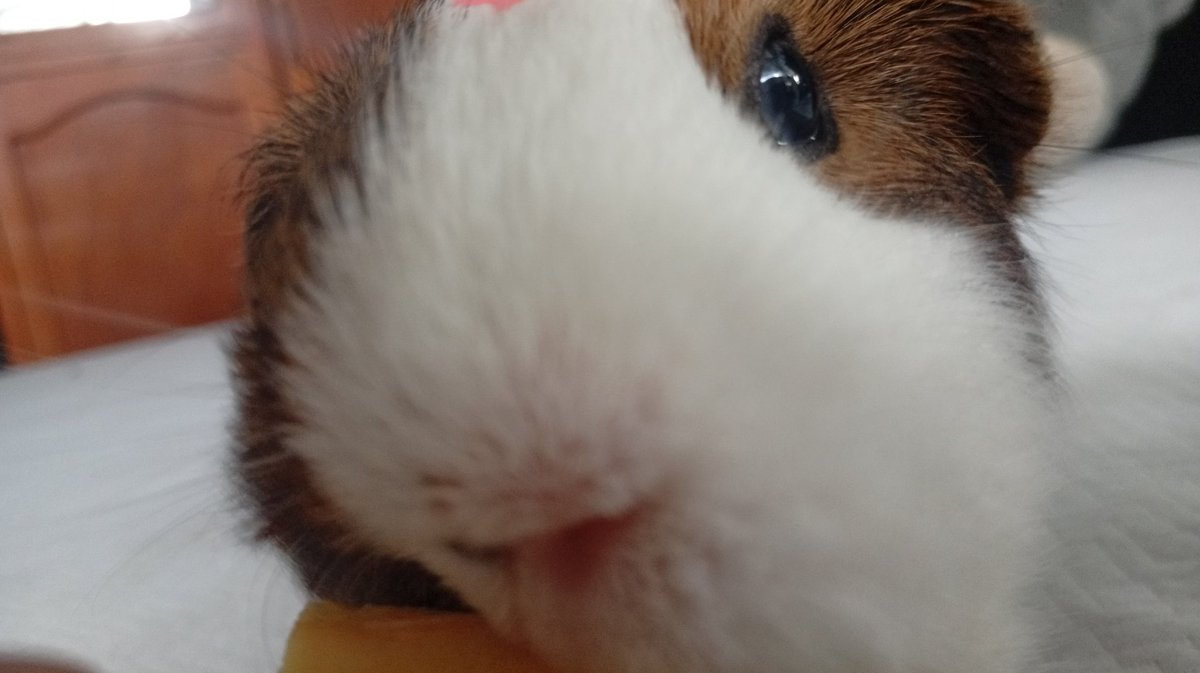 Cassy ≧ᴗ≦ tweet media