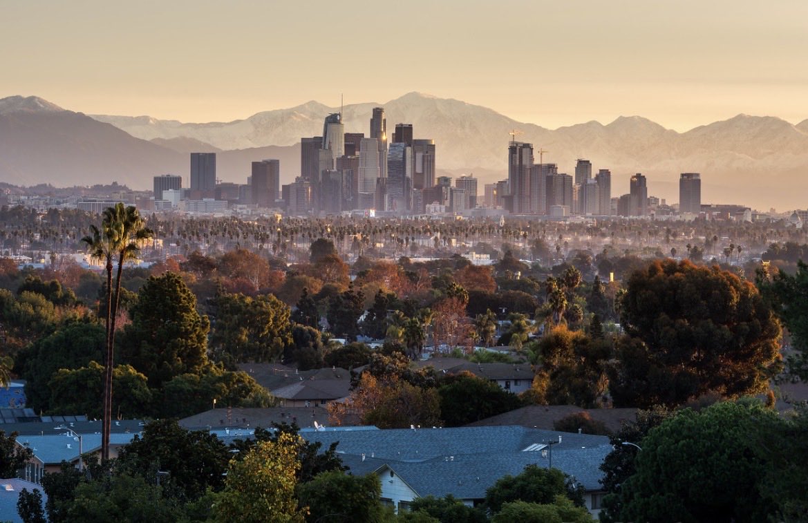 Brandon Yoshizawa tweet media