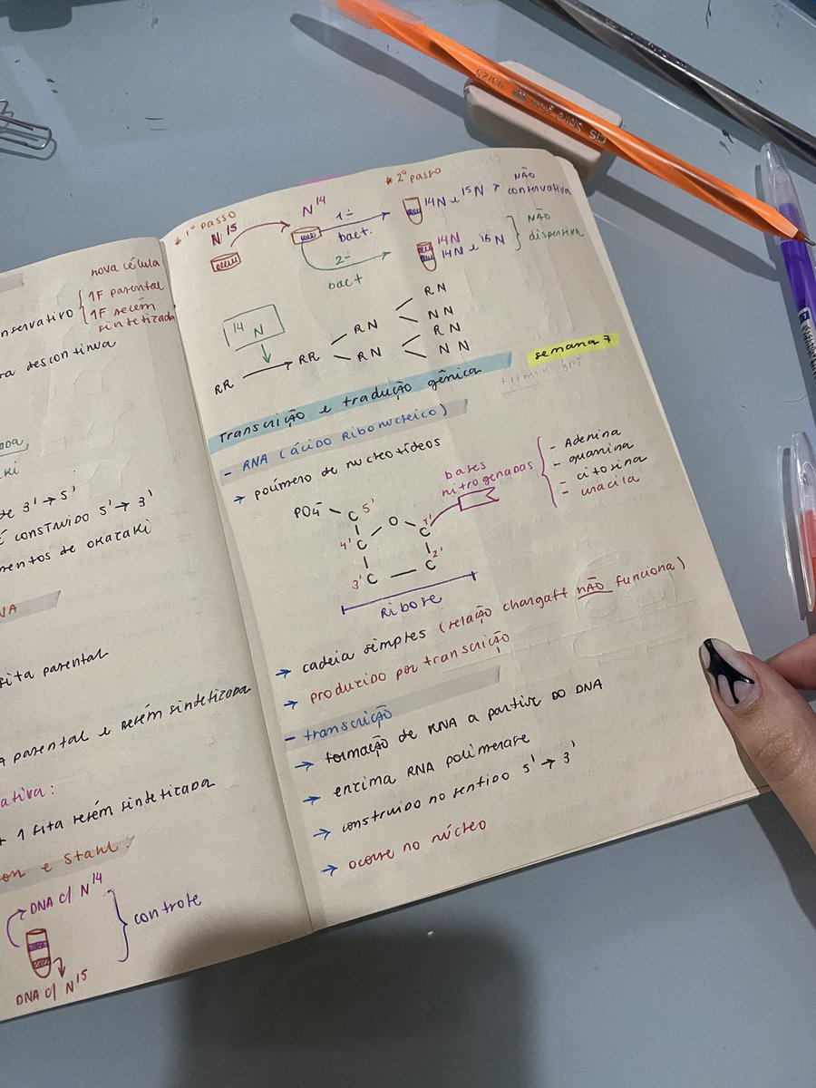 keepstudies's tweet photo. top melhores assuntos do ano de bio: transcrição e tradução 🧬🔬 https://t.co/RbEFceTzw8