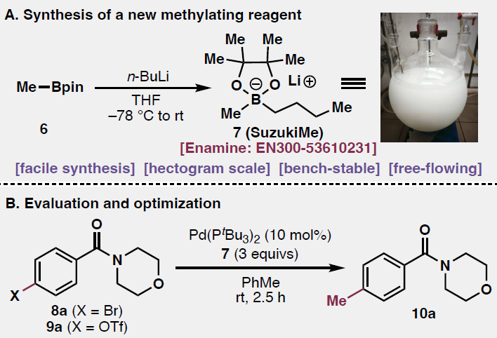 Boron_Chemistry's tweet photo. SuzukiMe: A Tactically Mild Methylation Reagent ( @ChemRxiv ) : https://t.co/XWuewmIIaN. https://t.co/GHaJUD3rkZ