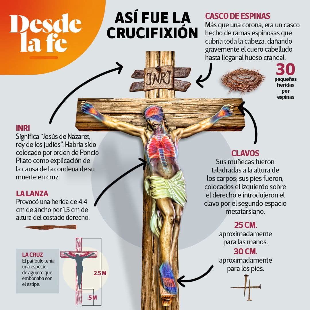 Alcocer 201 tweet media