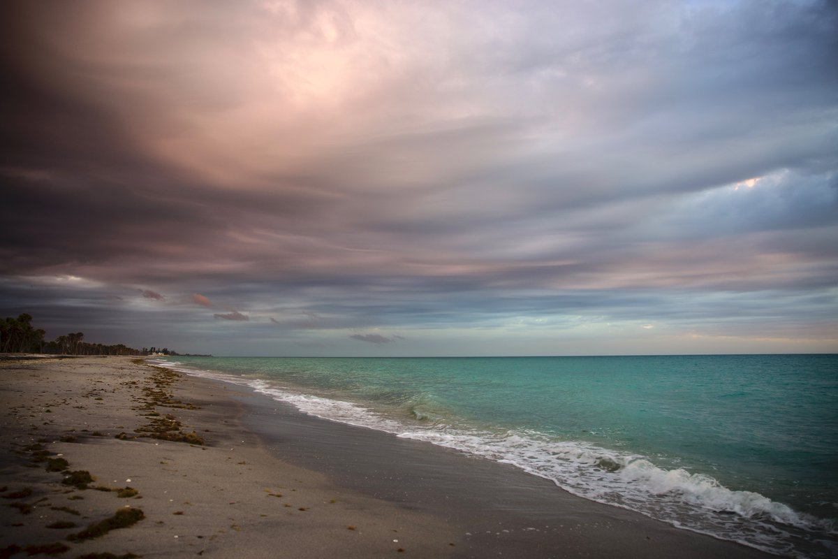 DeepGreens2's tweet image. Just the other night...🌺
#Photography #BeachLife #Canon #Florida