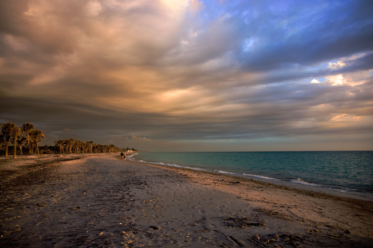 DeepGreens2's tweet image. Just the other night...🌺
#Photography #BeachLife #Canon #Florida