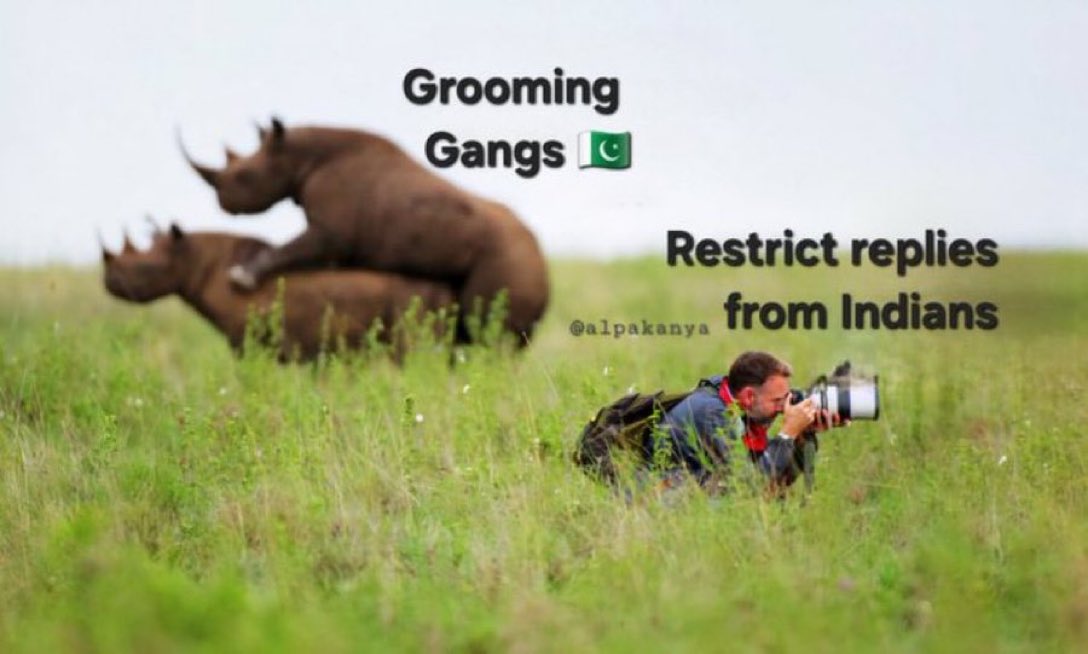 ARISU ࿗ 🦅 tweet media