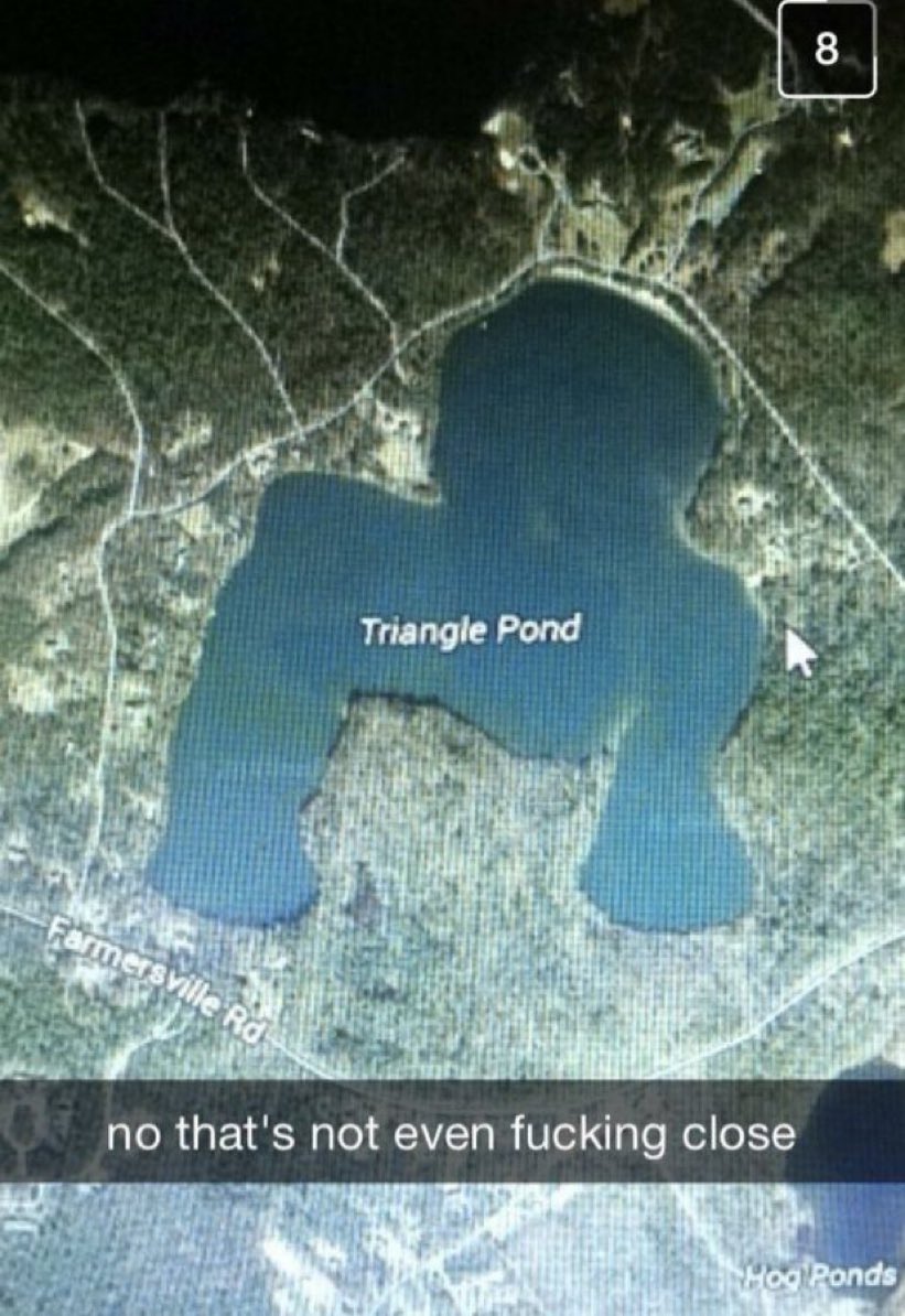 insane internet posts tweet media