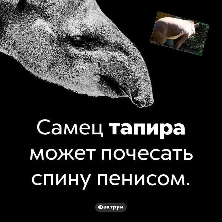 бумага|enhypEN is 7 tweet media