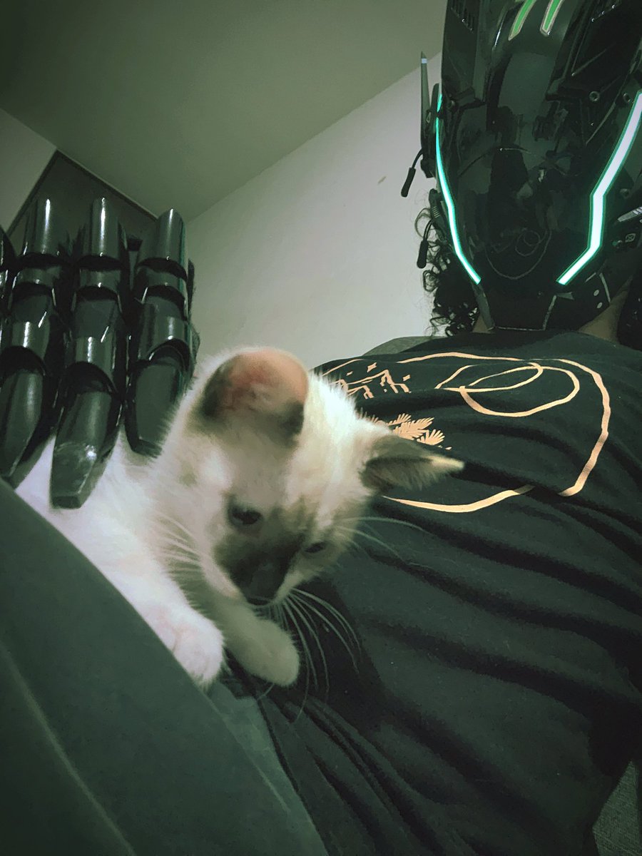 protuniks's tweet image. Some more pics from yesterday :3

#cyberpunk #robot #mask #cats #kitty