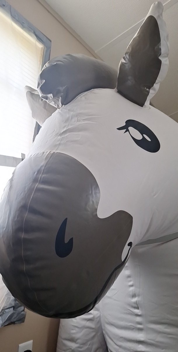 pile of Squeaks tweet media