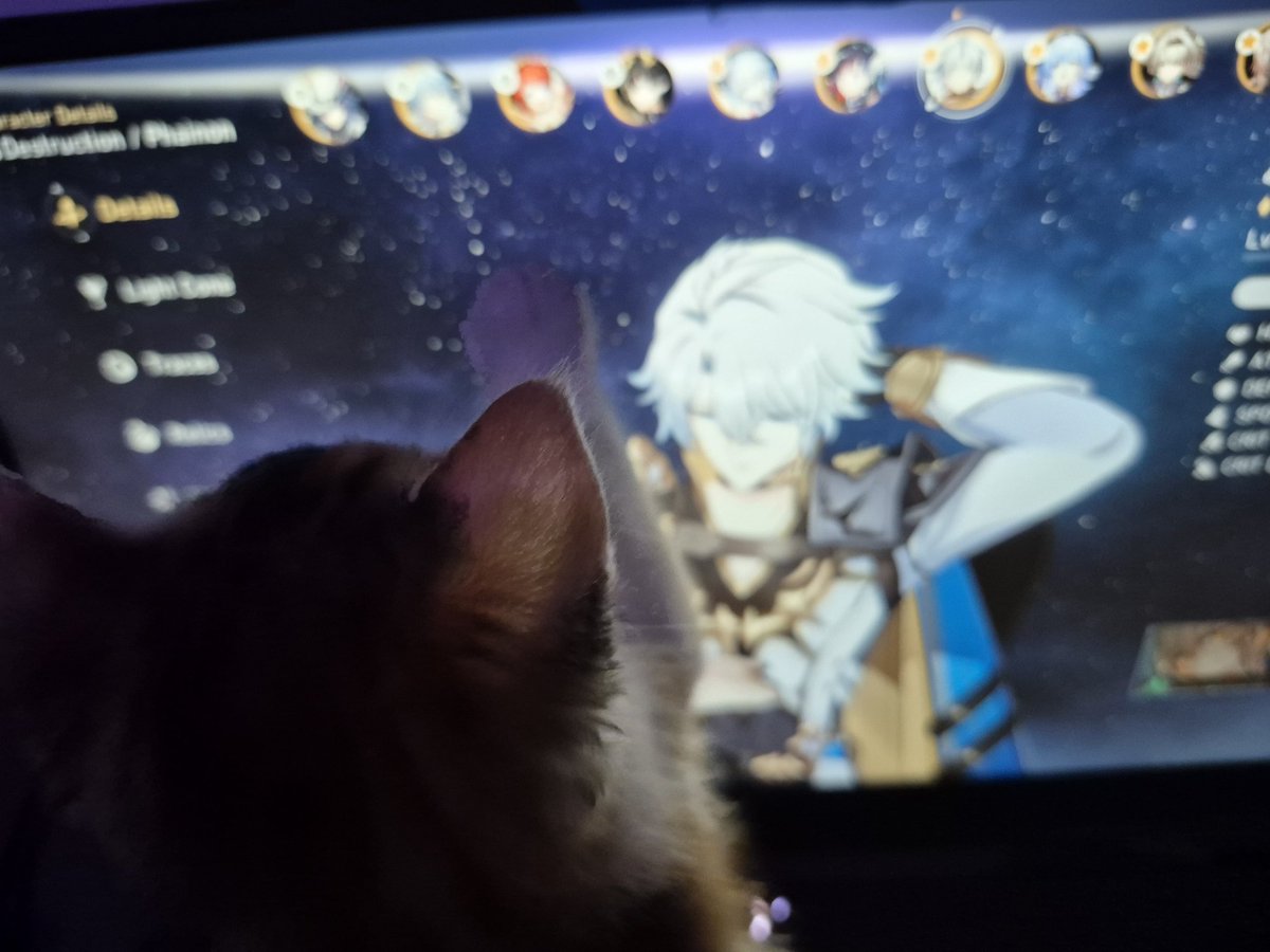 mydei niye mydein yok dedi cevap veremedim