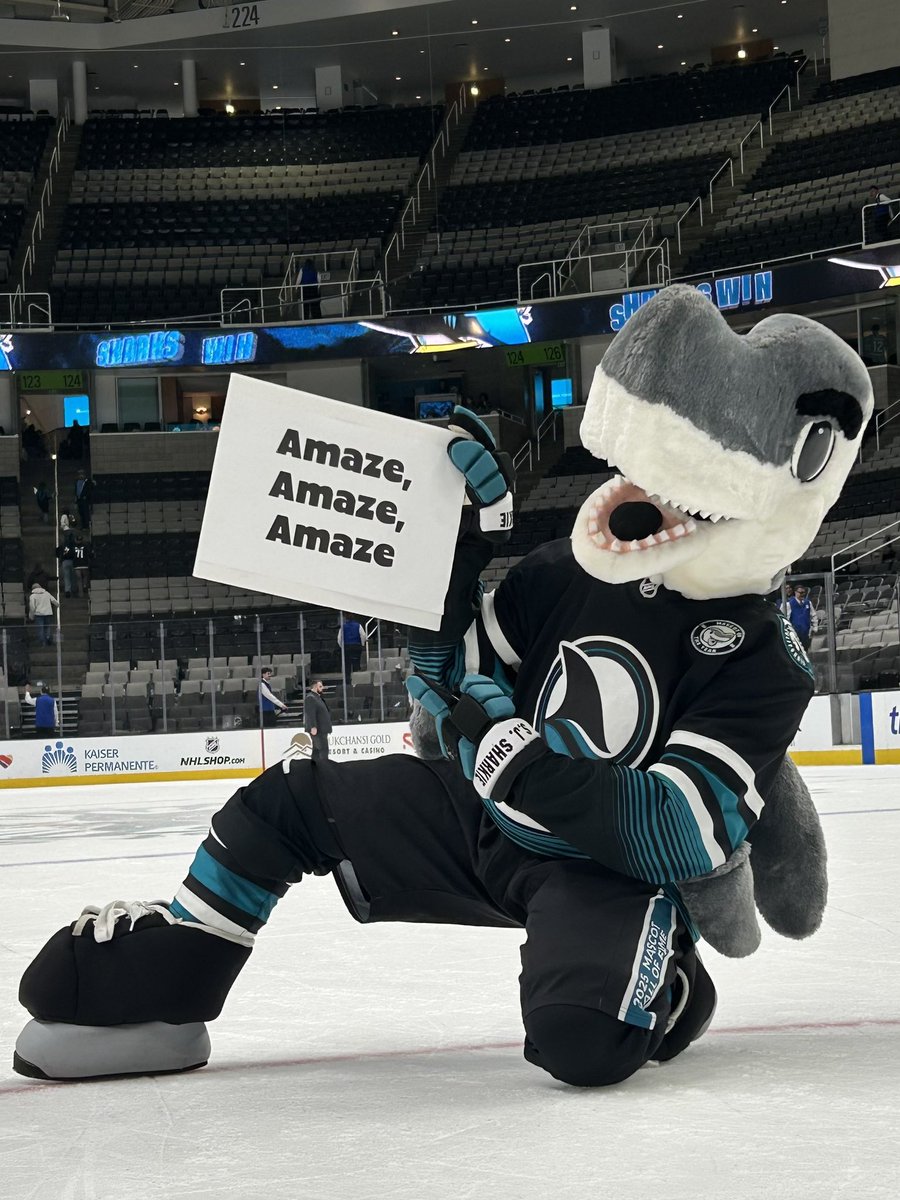 #SJSharkie tweet media
