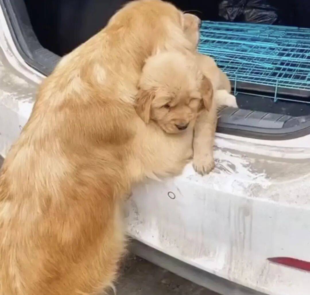 Melissa H tweet media