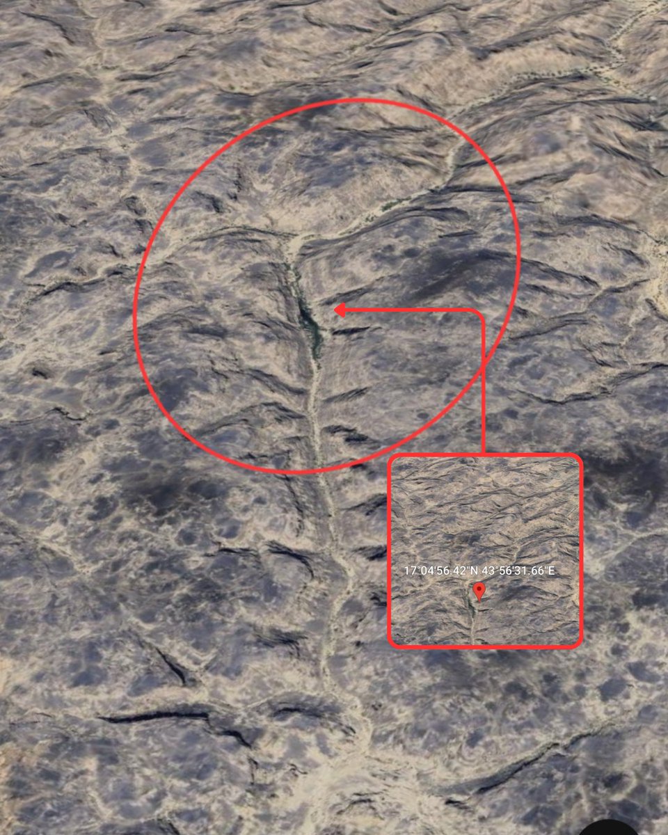 The Middle East tweet media