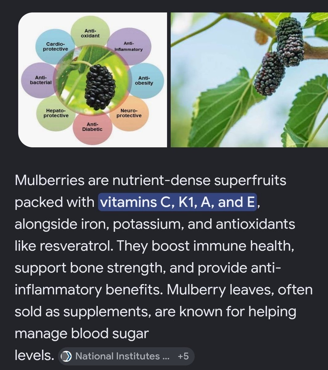 Black Wolf Homestead tweet media