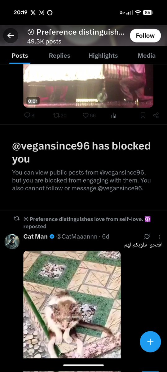 Megan the Meg tweet media