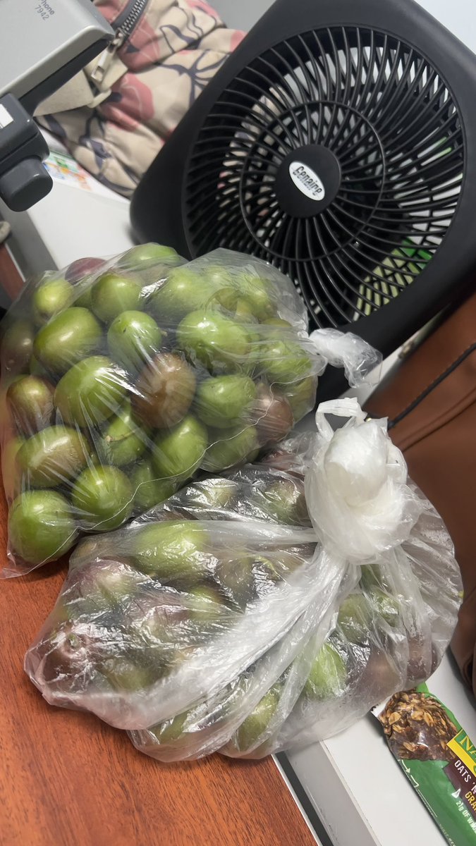 Hellen of Troy✨ tweet media