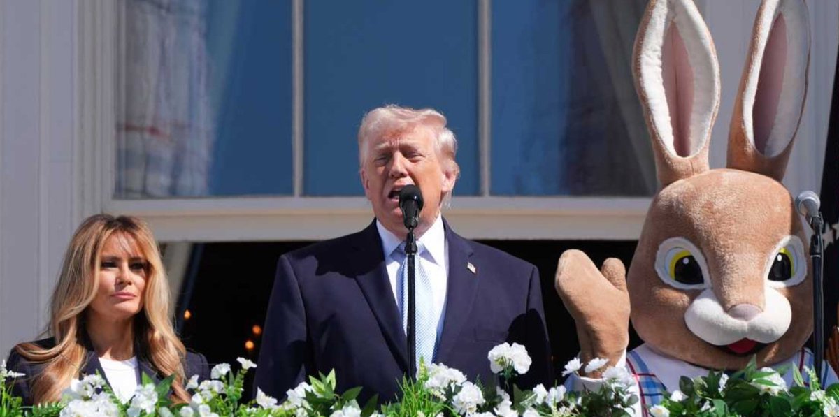 Jo No 🇩🇪🇪🇺🇺🇦🇬🇪 tweet media